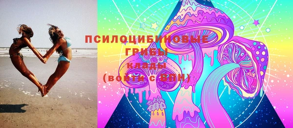 МДПВ Богородицк