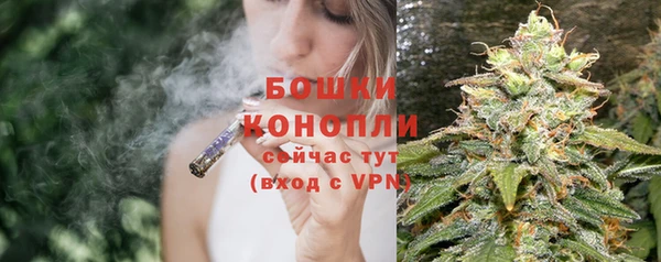 МДПВ Богородицк