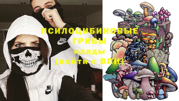 МДПВ Богородицк