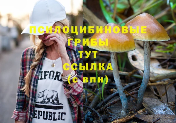 МДПВ Богородицк