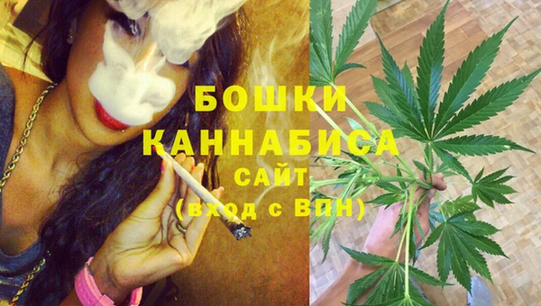 твердый Осташков