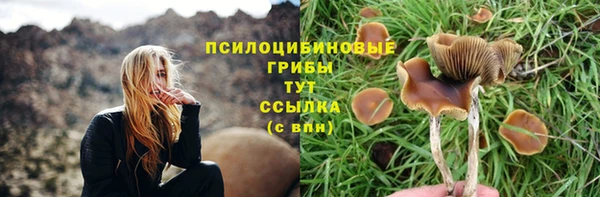 ешки Богородск