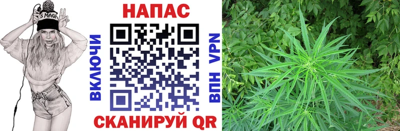 где найти наркотики Тула Марихуана ГИДРОПОН